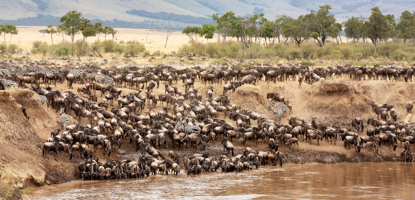 Western Serengeti
