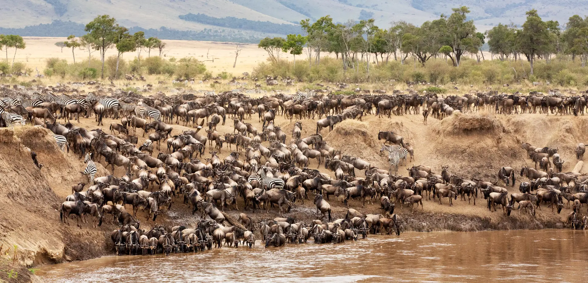 Western Serengeti