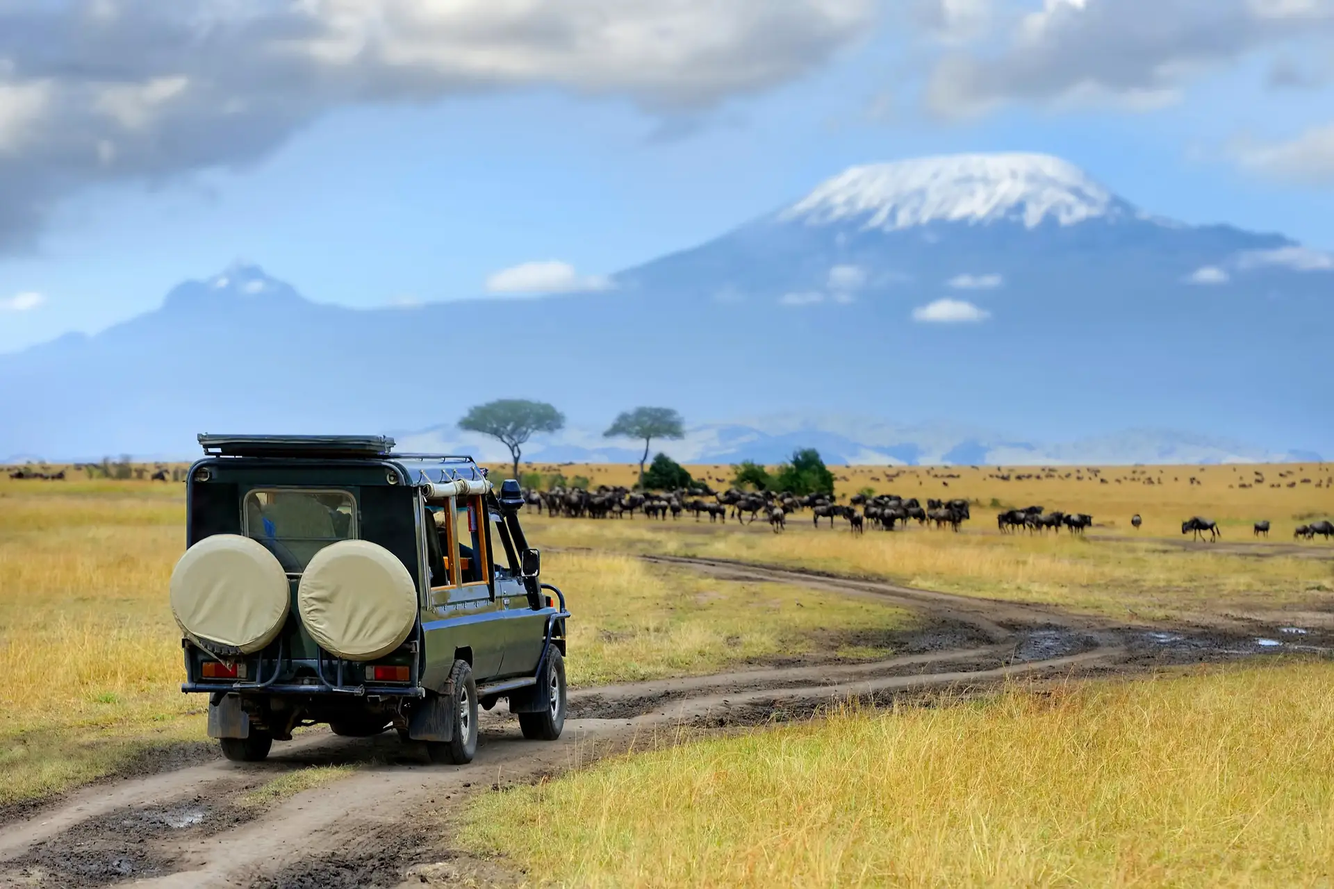 Kenya & Tanzania Tours