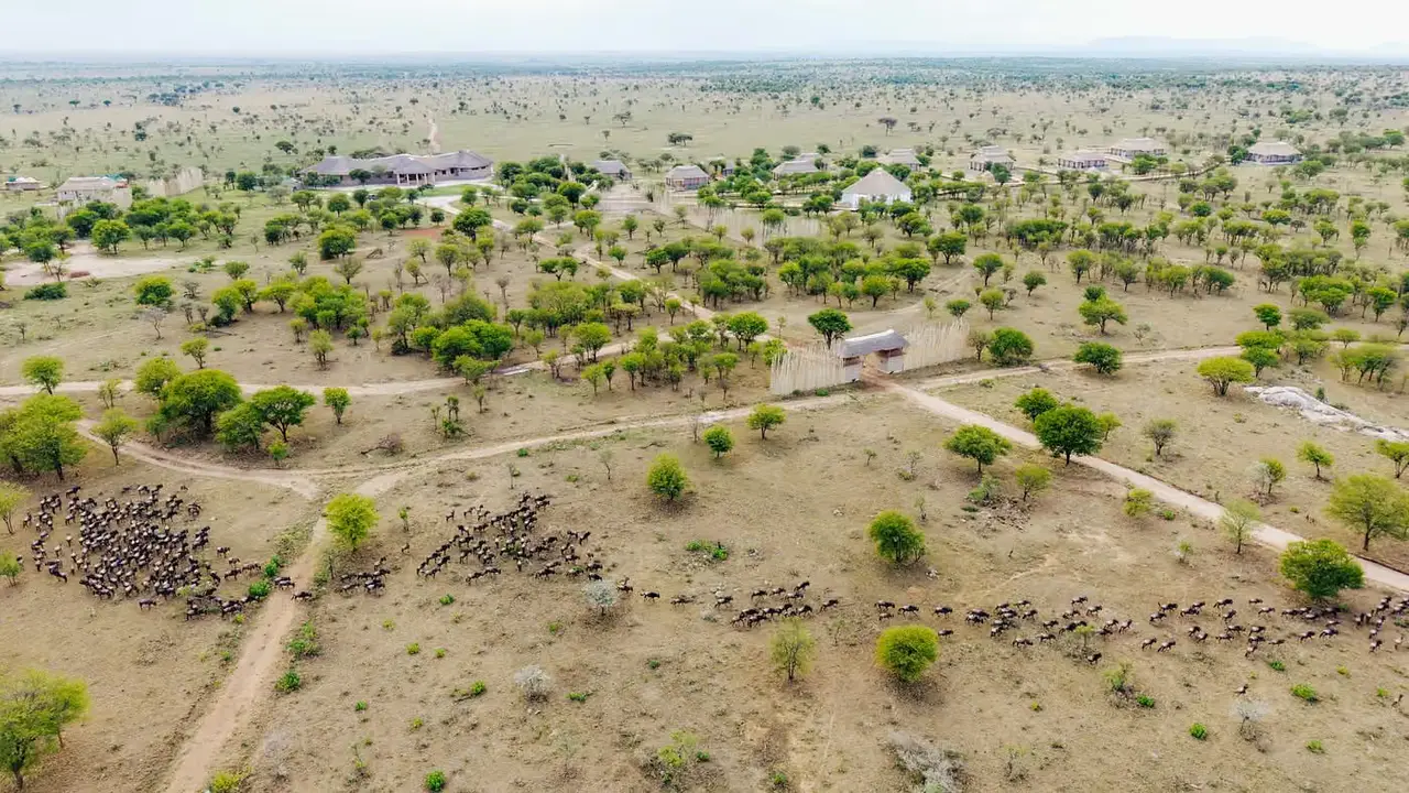 Olkarien eco safari camp — photo 3