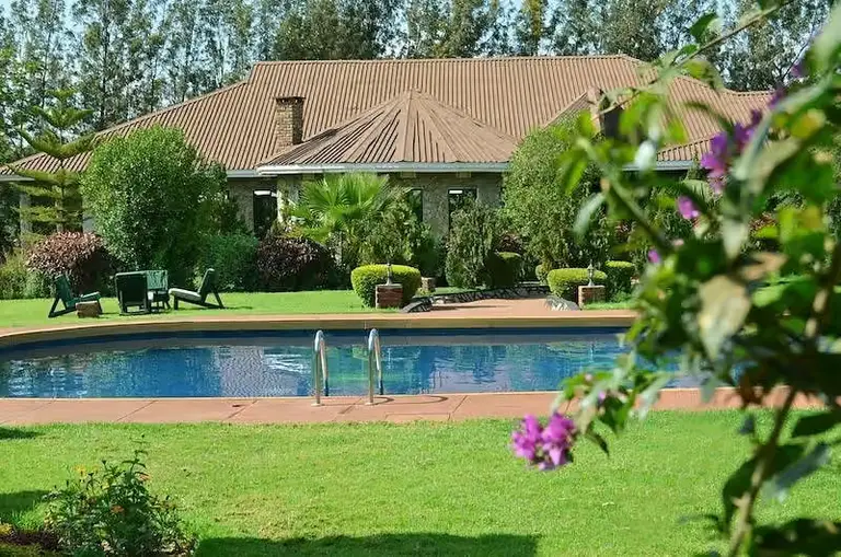 Bougainvillea safar Lodge — photo 4