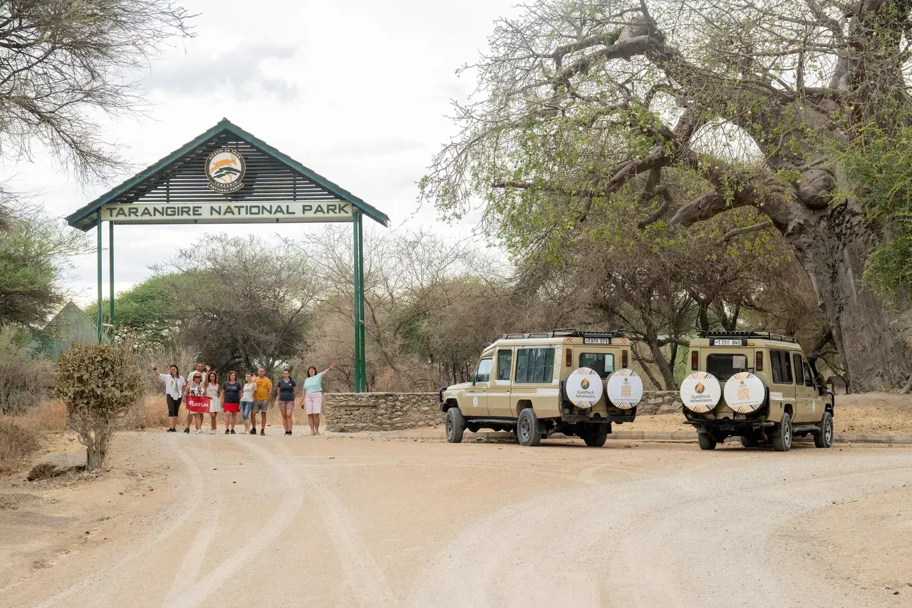 Travel highlight for 3-Day Safari from Zanzibar: Manyara, Ngorongoro & Tarangire