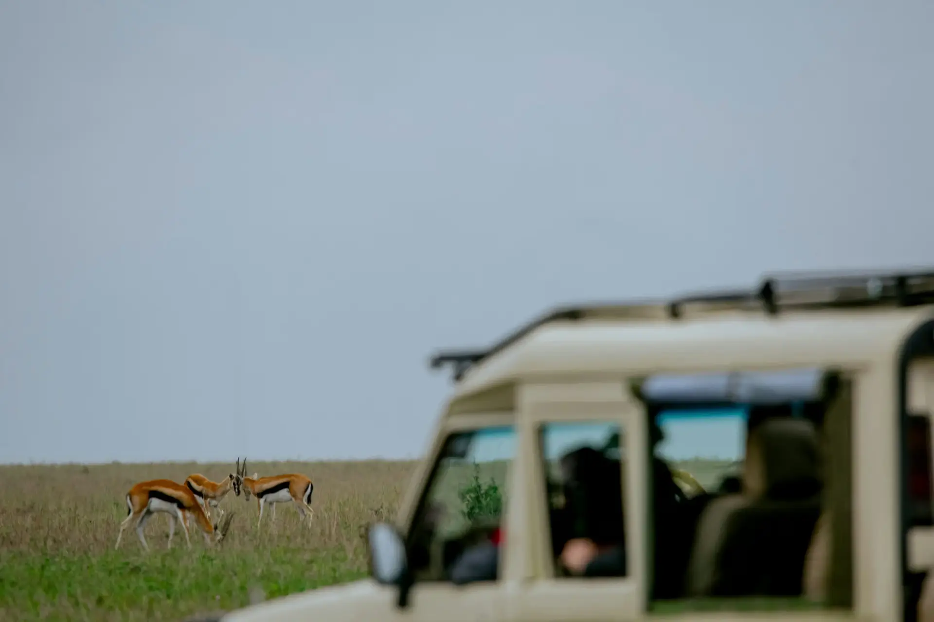Day 1: A Scenic Beginning — Walking Safaris and Views of Mount Meru