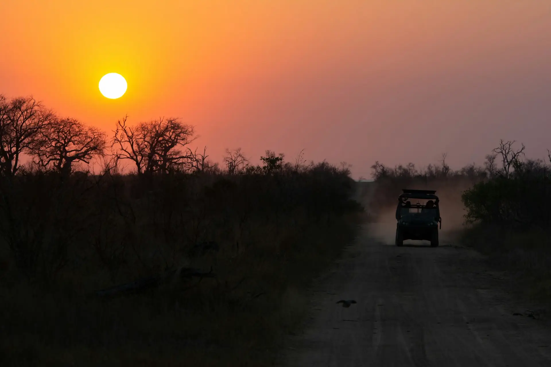 Tag 2: Von Sansibar zum Tarangire-Nationalpark