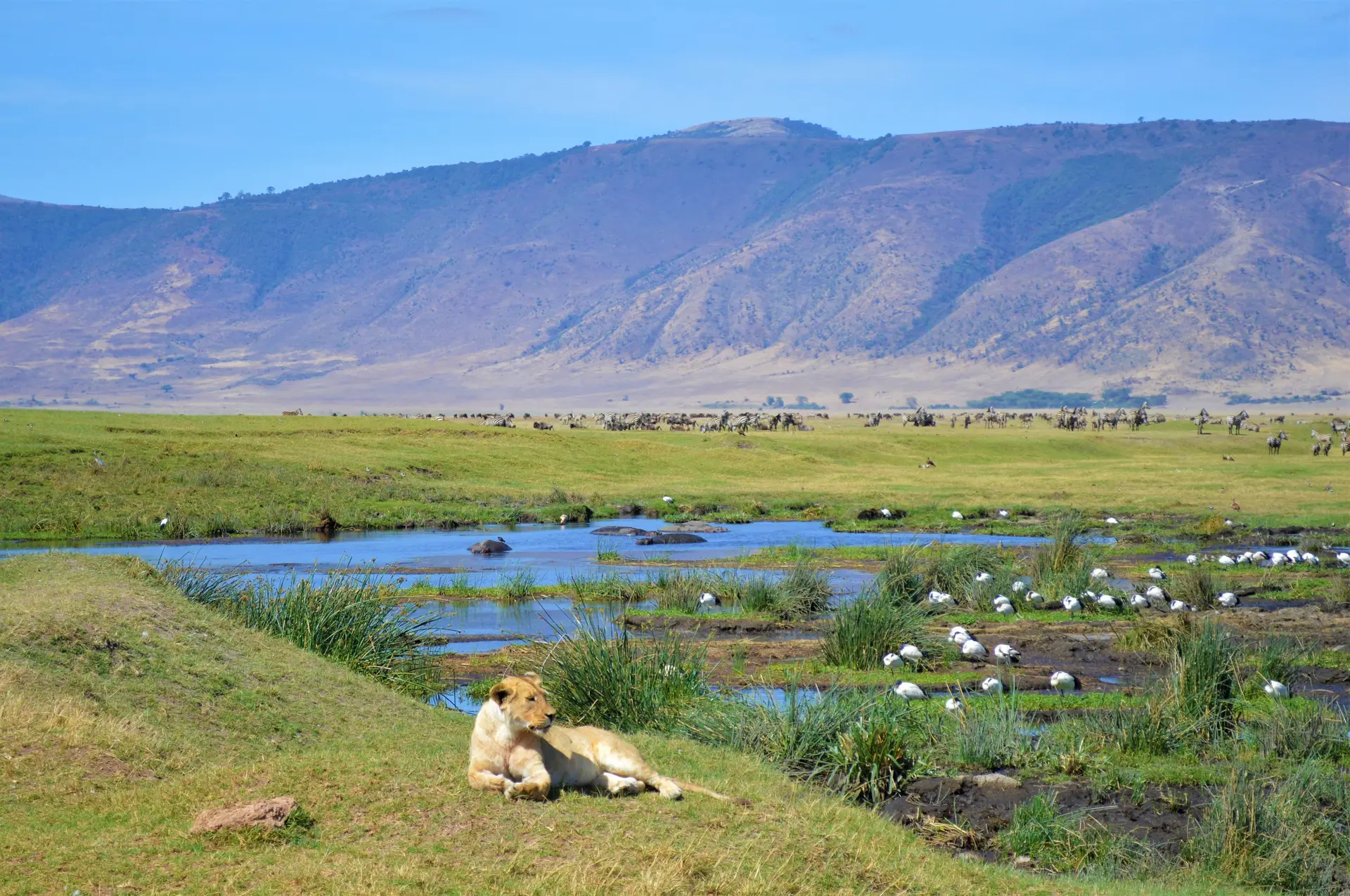 Tag 6: Ngorongoro-Krater – Arusha