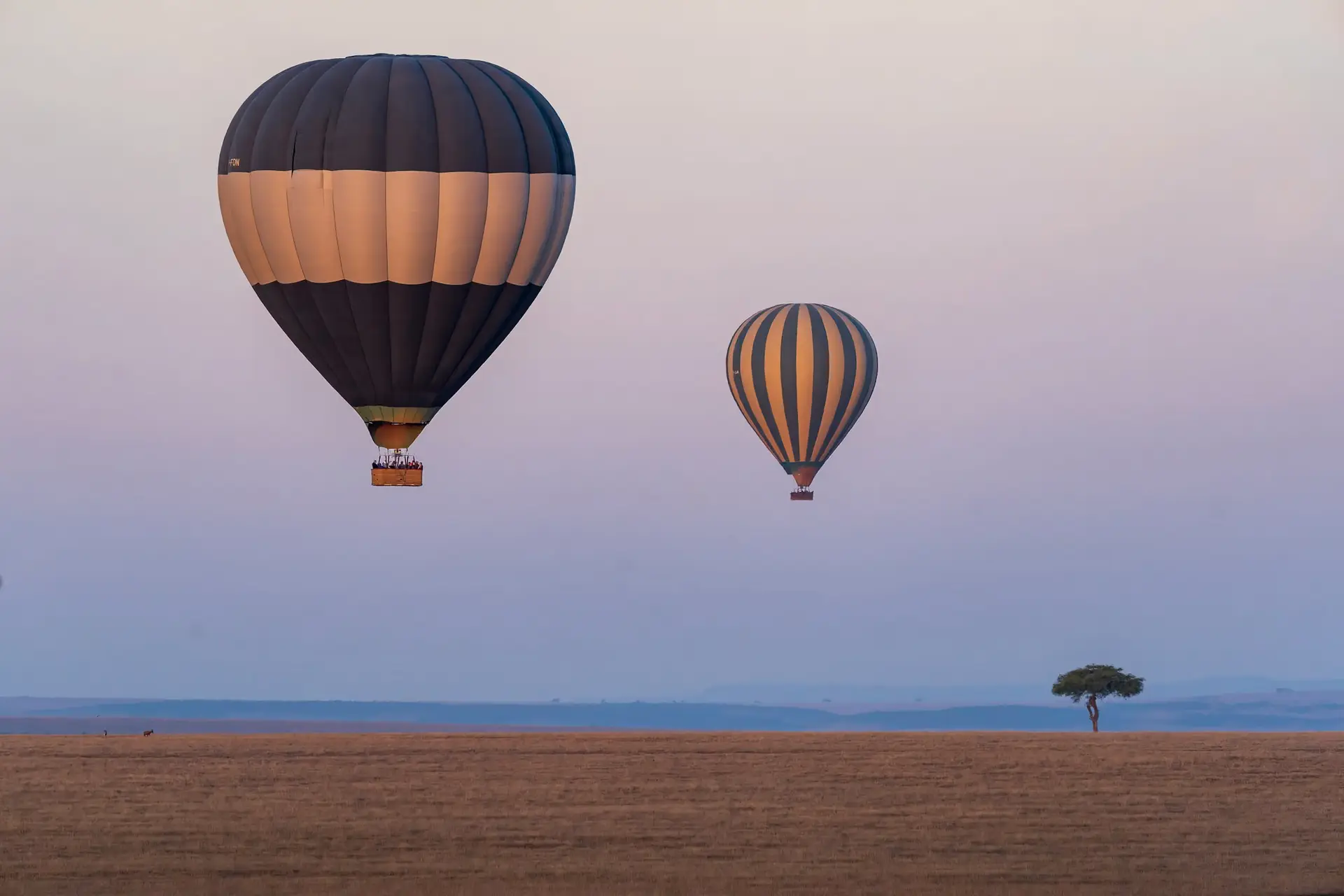 Day 5: Serengeti & Return to Zanzibar