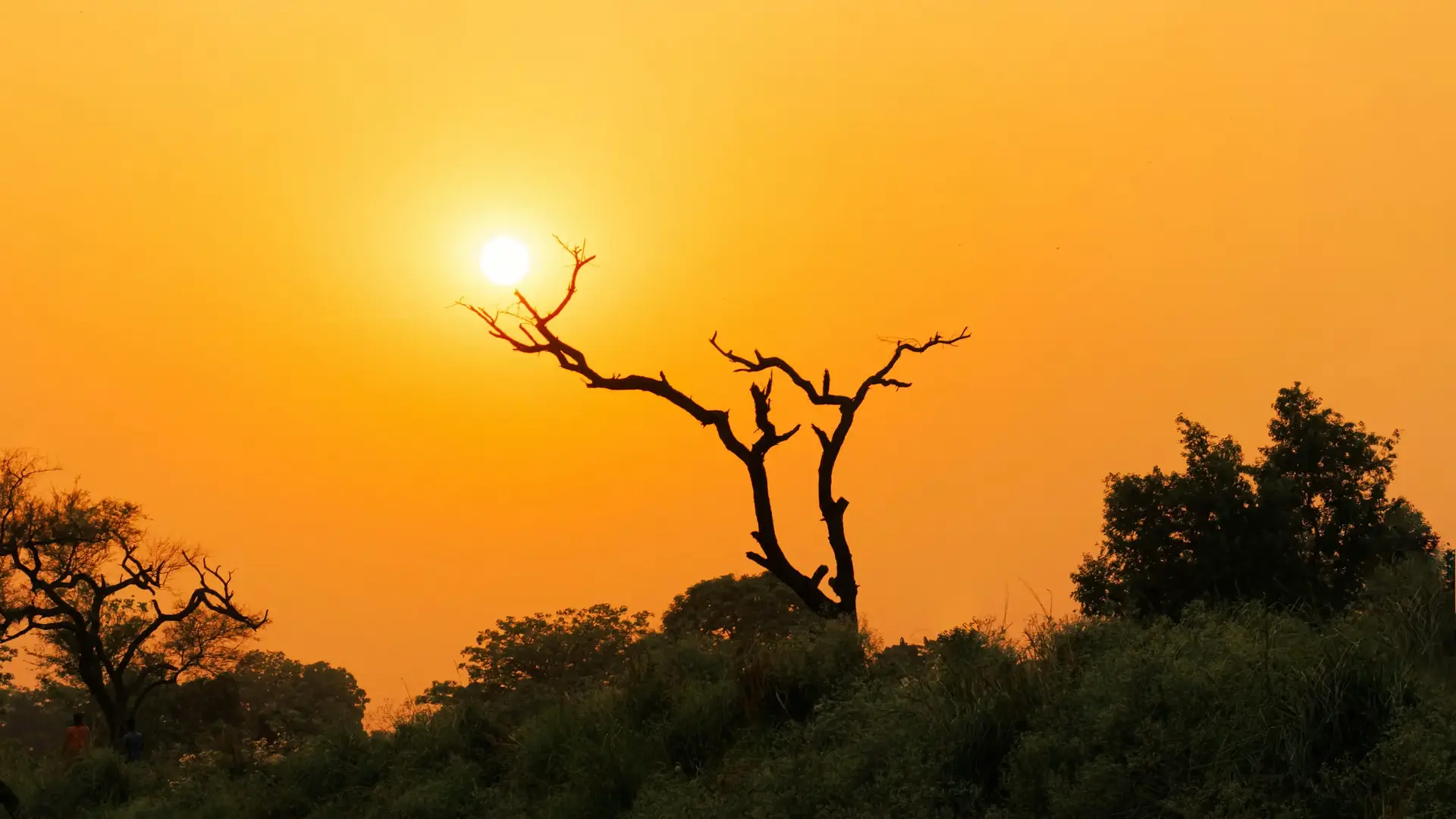 Day 2: Explore the Ngorongoro Crater