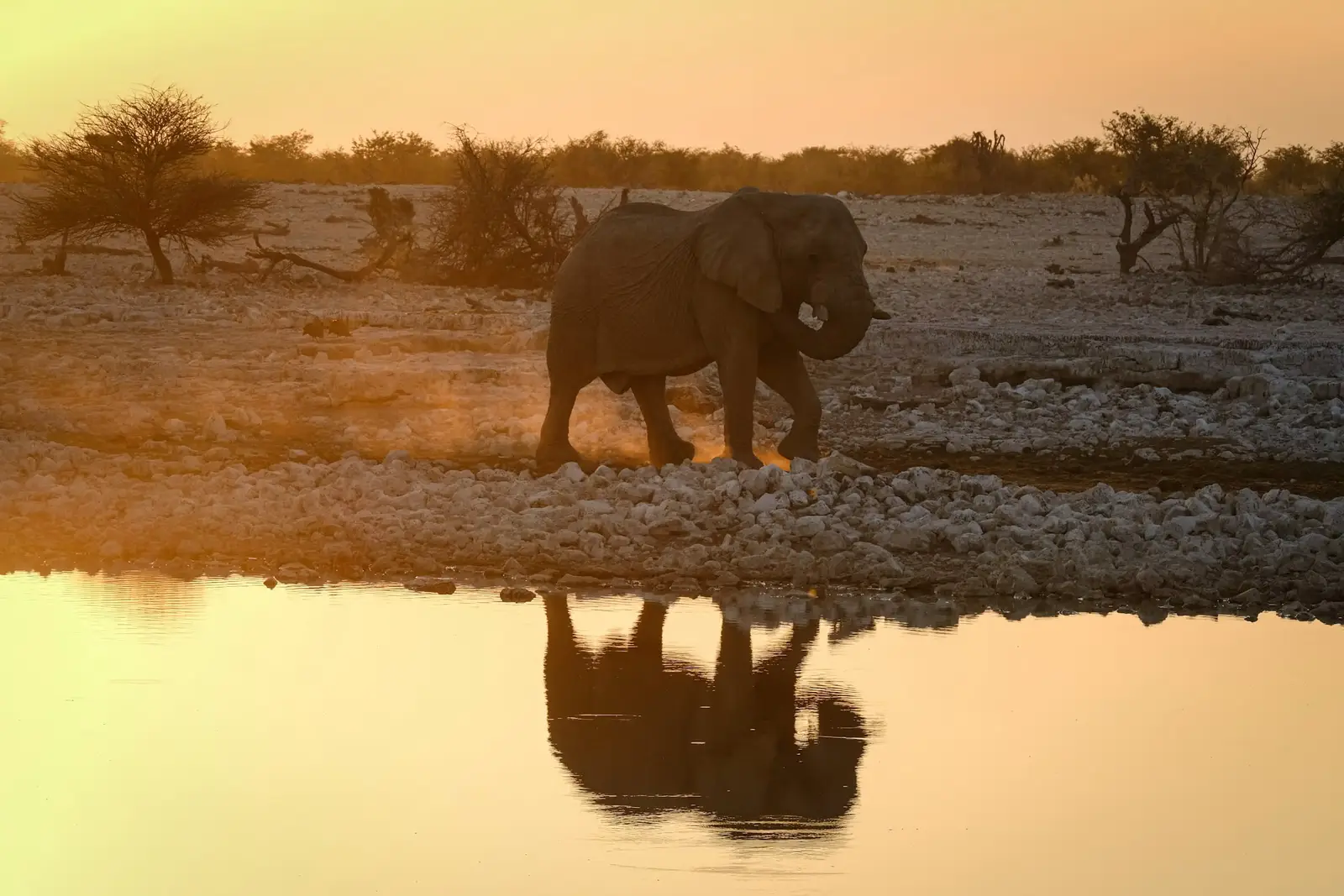 6-Day Tanzania Safari & Zanzibar Beach — Compact & Complete