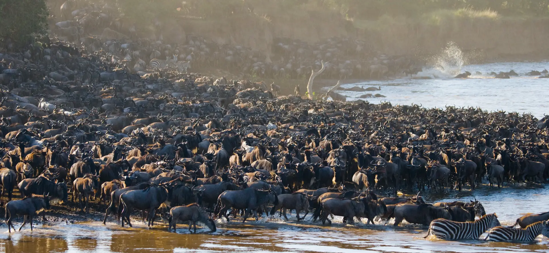 Northern Serengeti