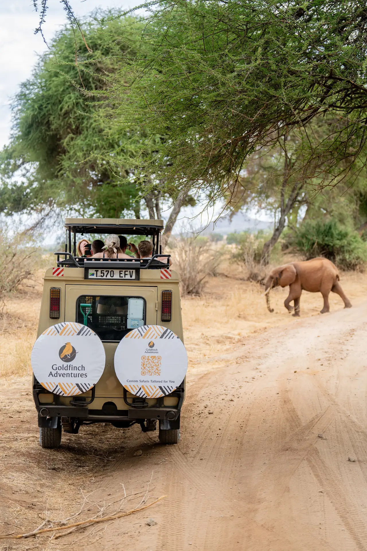 Travel highlight for 15-Day Safari & Beach Holiday: The Full Tanzania Experience