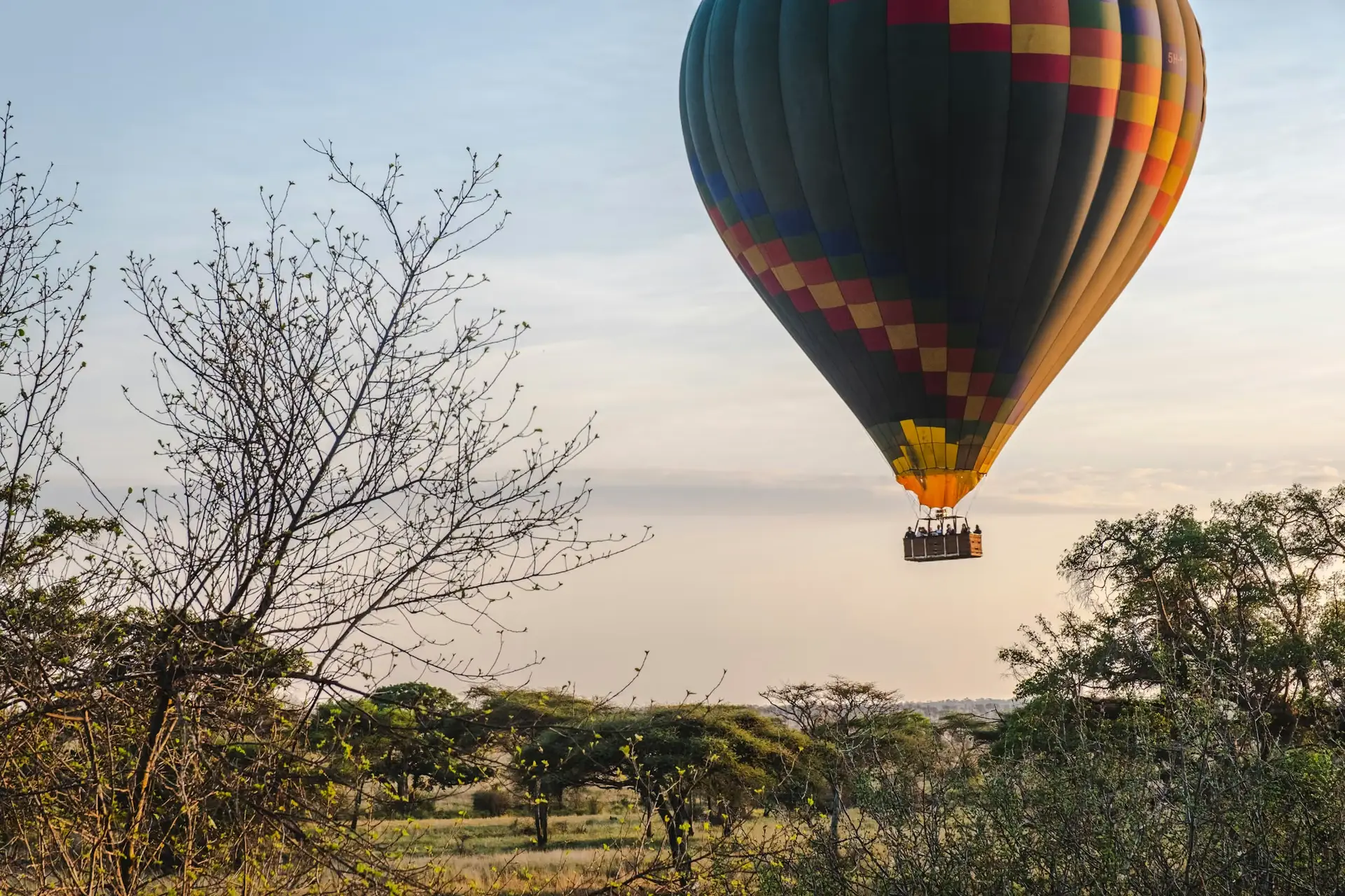Day 5: Serengeti – Ngorongoro Highlands