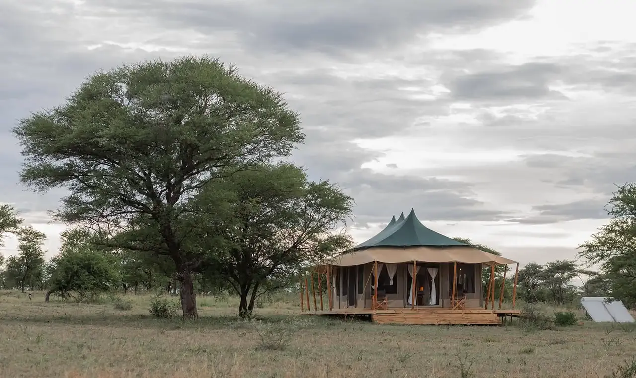 Signature Serengeti