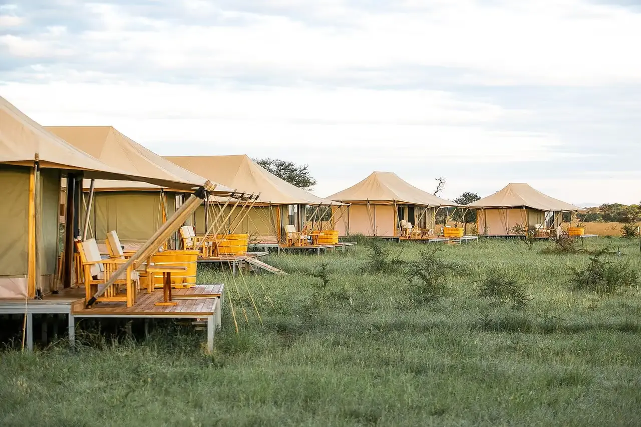 Dove Serengeti Camp — photo 3