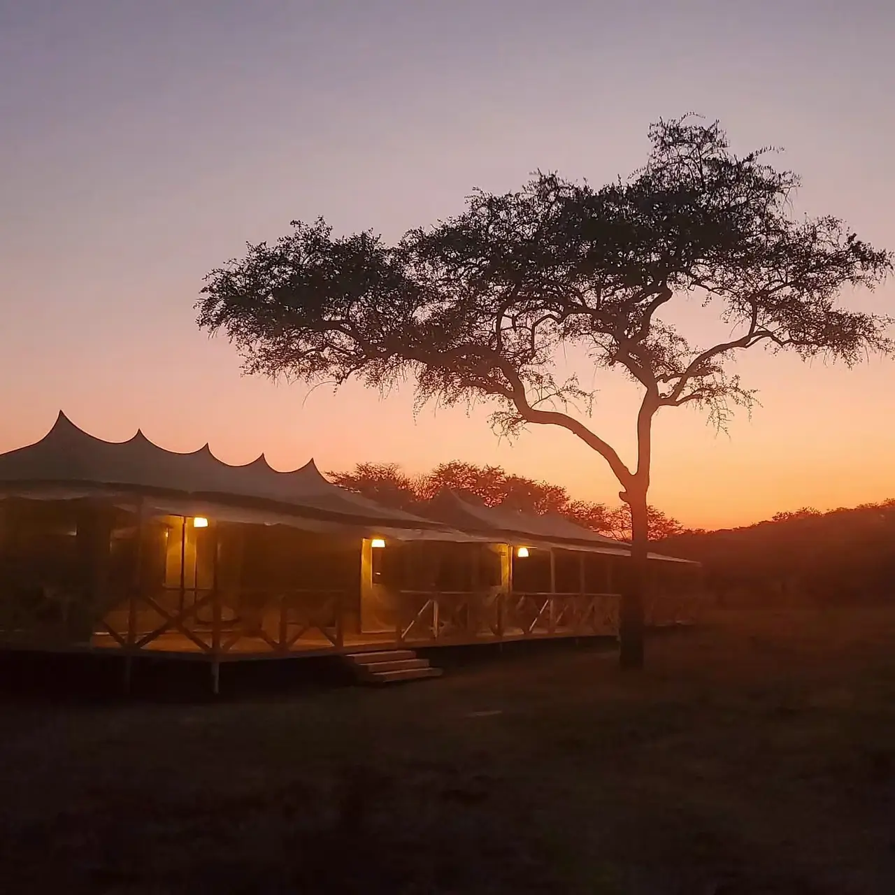 Signature Serengeti