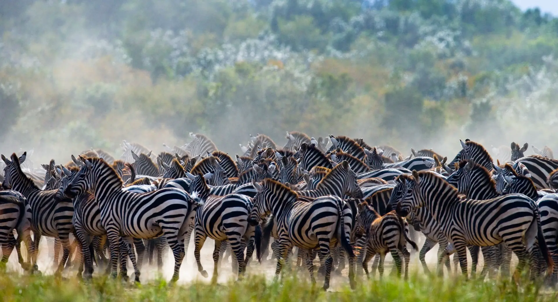 Serengeti National Park