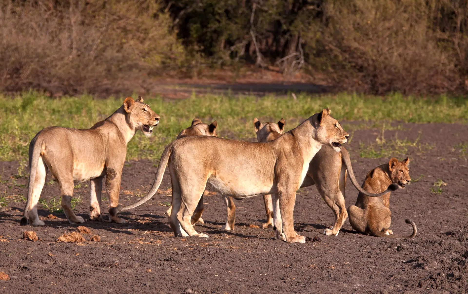 Day 2: Journey to Northern Serengeti National Park