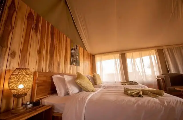 Dove Serengeti Camp — Luxury Safari Tent — photo 2