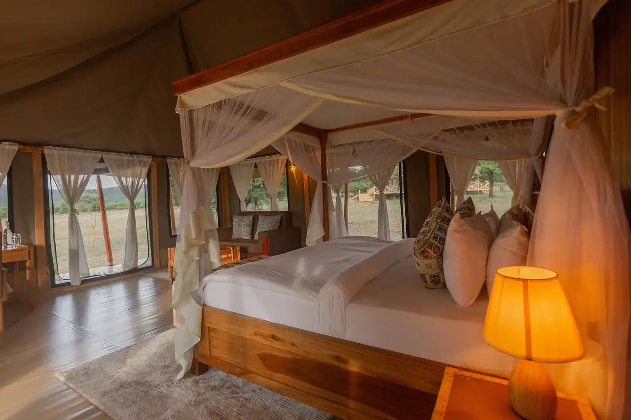 Signature Serengeti — photo 3
