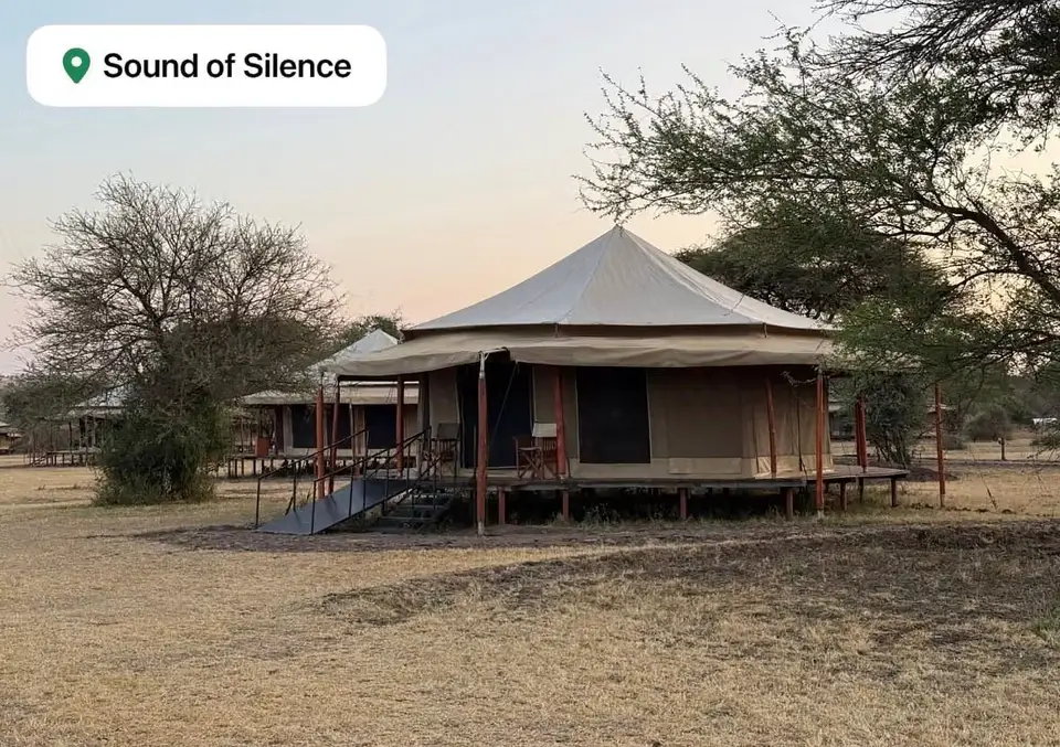 Serengeti sound of silence — photo 4
