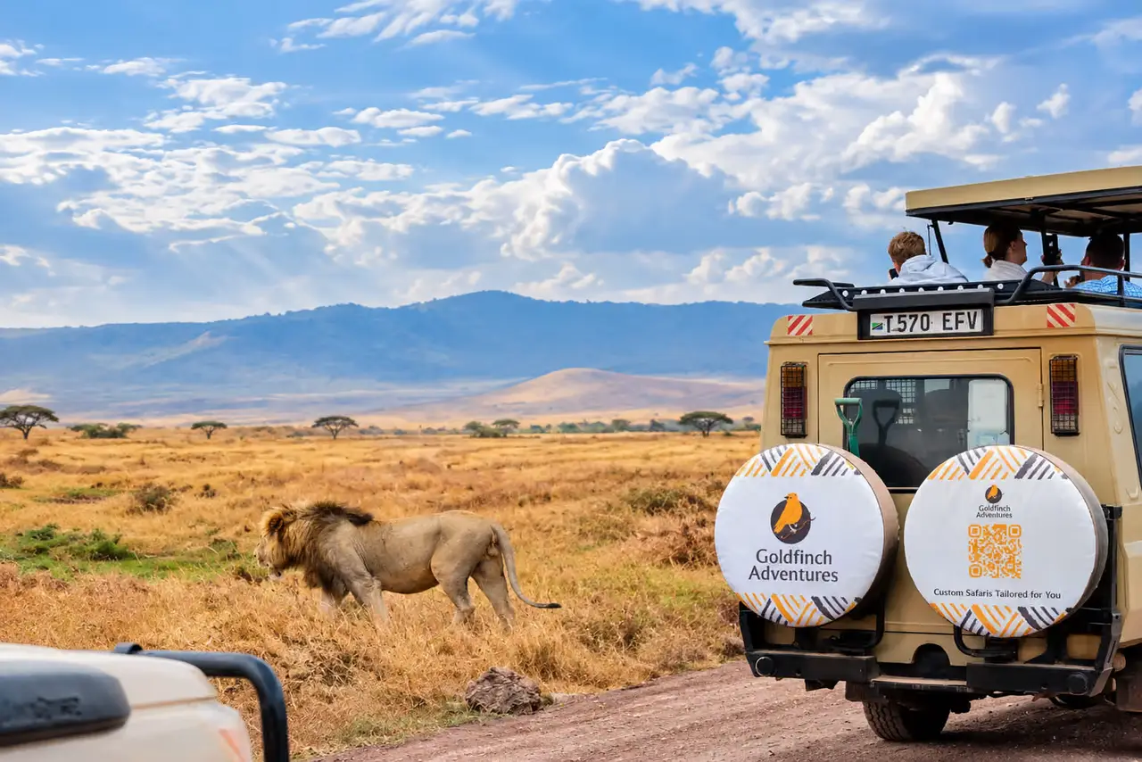 3 Day Safari from Zanzibar: Northern Circuit Active